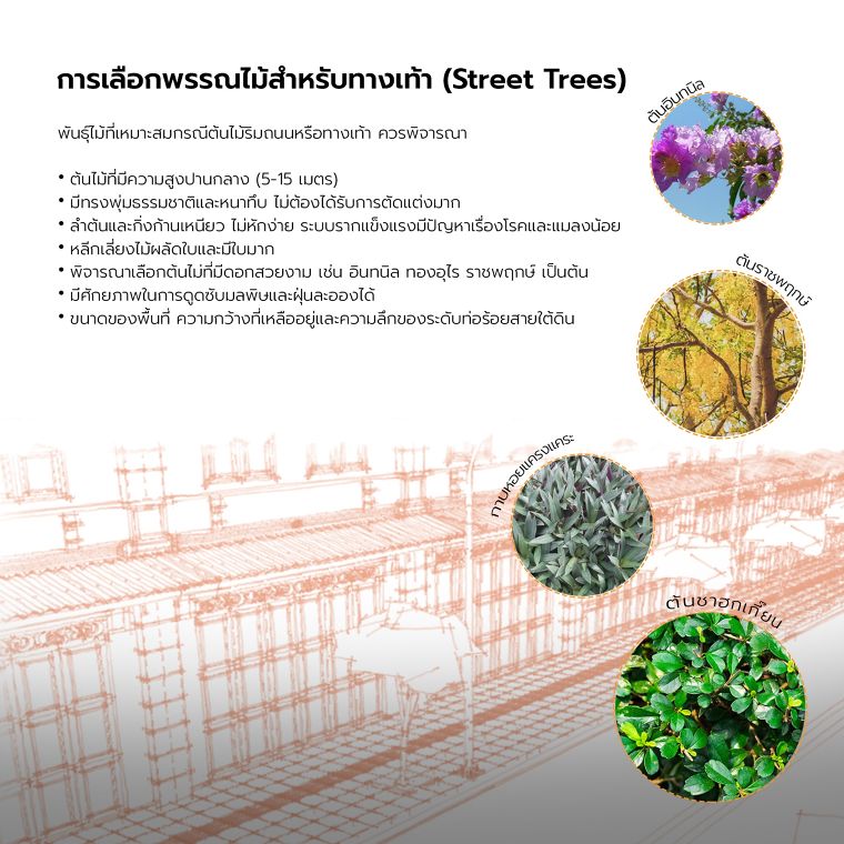 หลักการออกแบบทางเท้า และการจัดระเบียบโครงสร้างพื้นฐานในบริเวณทางเท้า (Footpath infrastructure Detail Design) ภาพประกอบ