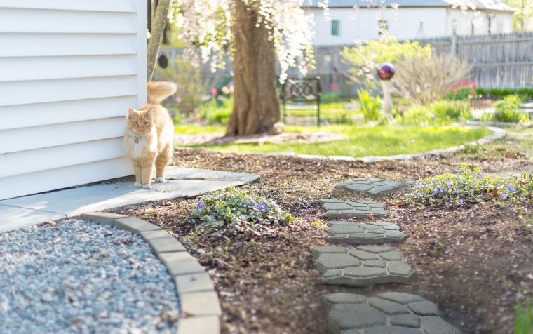 รวม 8 ไอเดียแต่งสวนสวยด้วยวัสดุปูพื้นคอนกรีตสำเร็จรูปแบบต่างๆ (Paving Concrete for Garden Ideas) ภาพประกอบ