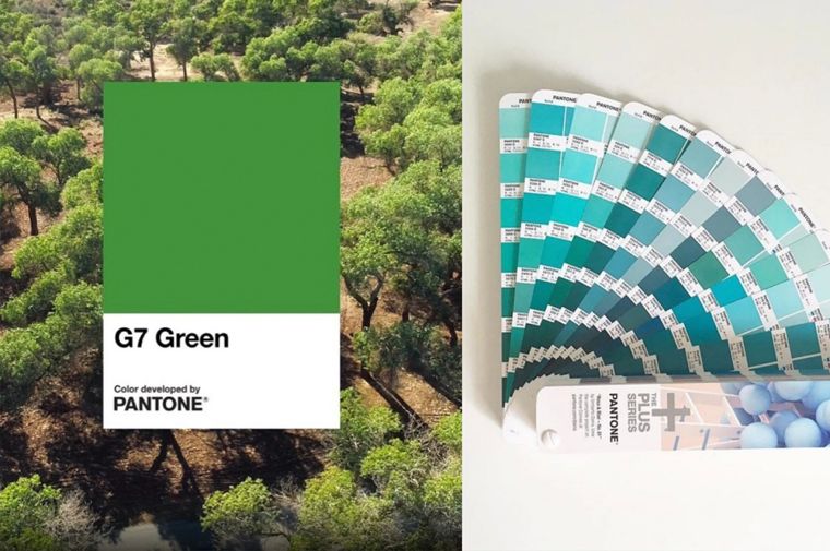 "PANTONE 2020" เทรนด์สีมาแรงแห่งปี กับกระเบื้องโทนสีธรรมชาติ ภาพประกอบ