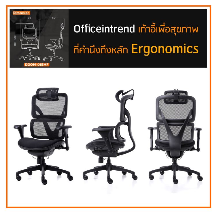 เจาะลึก ถึง Insight...ว่าทำไม หลัก ERGONOMIC ถึงสำคัญต่อการออกแบบ “เก้าอี้สำนักงาน” ?  ภาพประกอบ