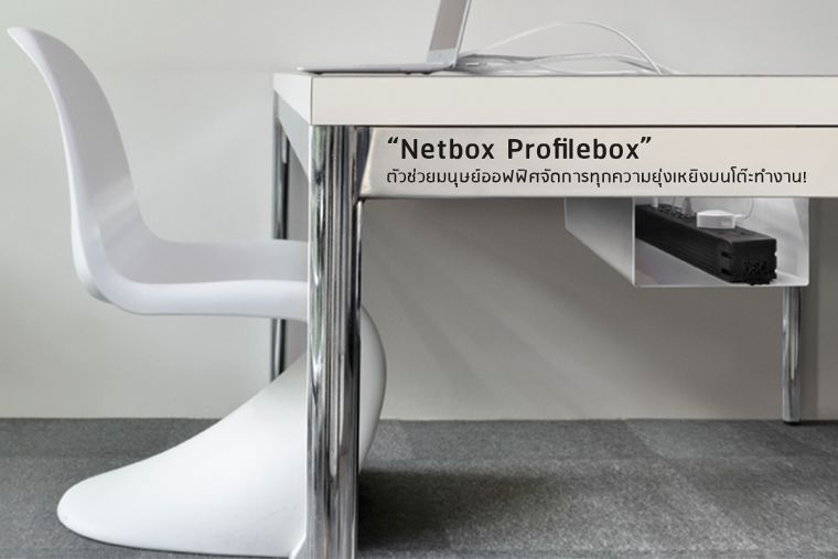 “Netbox Profilebox” ตัวช่วยมนุษย์ออฟฟิศจัดการทุกความยุ่งเหยิงบนโต๊ะทำงาน!  ภาพประกอบ