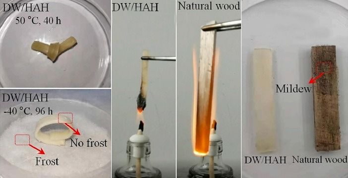 ภาพประกอบจาก

www.sciencedirect.com
