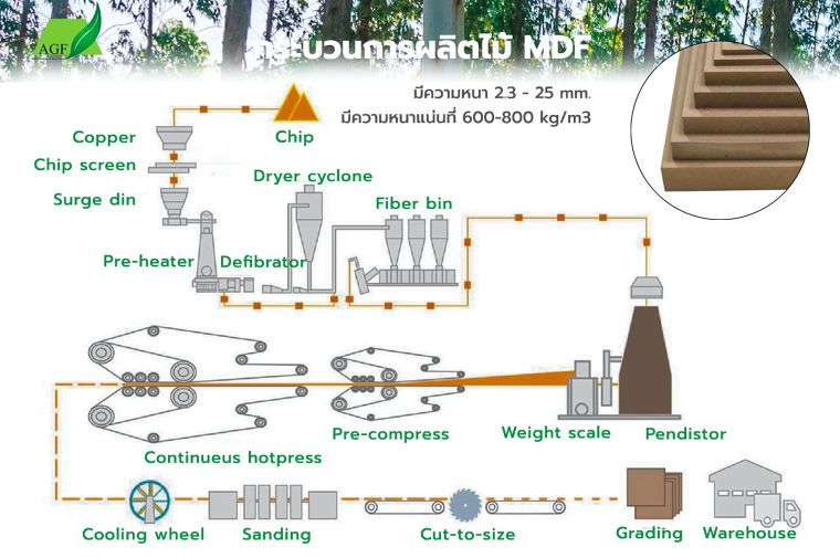 MDF เกรด E1 FSC จาก Agro Fiber สารฟอร์มัลดีไฮด์ต่ำ ตอบโจทย์ด้านสุขภาพและการใช้งานสำหรับงานโครงการ ภาพประกอบ