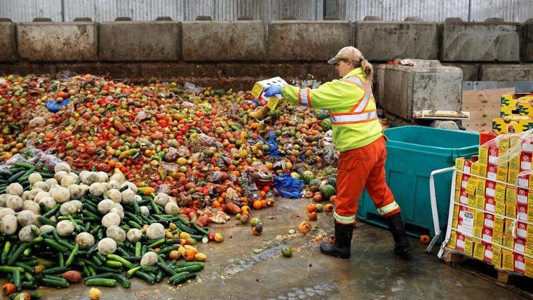 ภาพจาก

https-//www.trtworld.com/turkey/turkey-launches-food-loss-and-waste-reduction-campaign-36486
