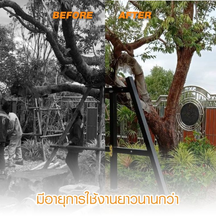 3 ข้อดีโครงค้ำยันตันไม้ ภาพประกอบ