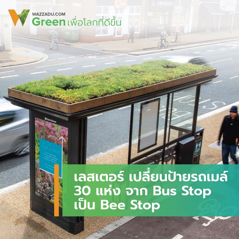 เลสเตอร์ เปลี่ยนป้ายรถเมล์ 30 แห่ง จาก “Bus Stop” เป็น “Bee Stop” ภาพประกอบ