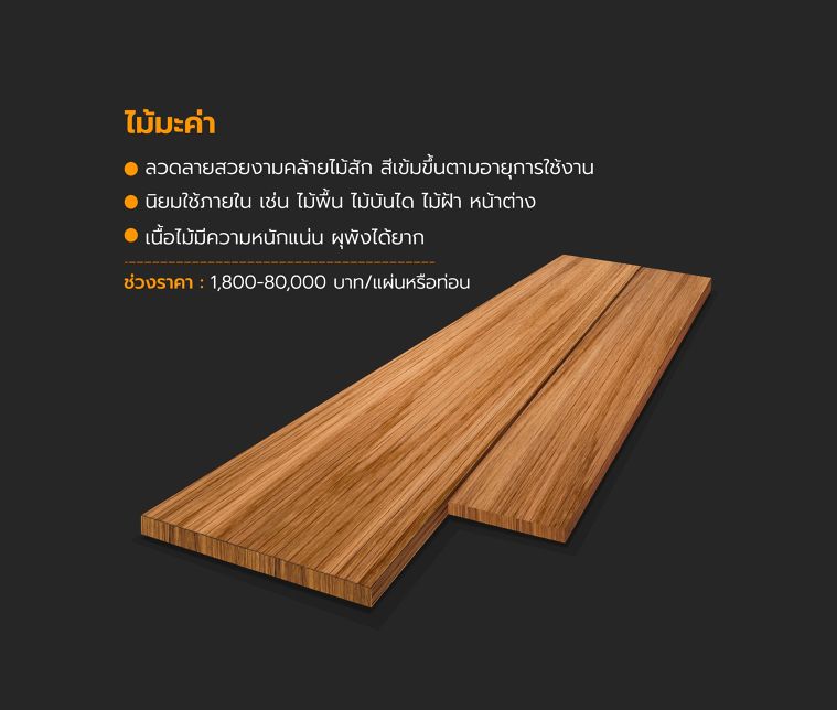 ไม้เนื้อแข็งมีกี่ชนิด? (Types of Hardwood) ภาพประกอบ