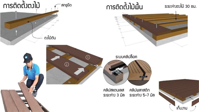 คุยกันแบบ “ตงๆ” กับ SCI WOOD ภาพประกอบ