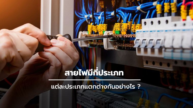 ขอบคุณภาพประกอบจาก www .homee.com
