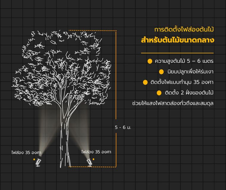 หลักการออกแบบจัดวางตำแหน่งไฟส่องต้นไม้ และไฟทางเดินสำหรับงานจัดแสงภูมิทัศน์ ภาพประกอบ