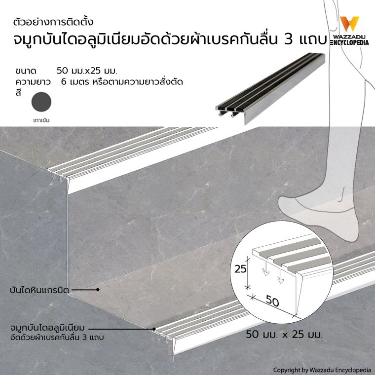 คู่มือการออกแบบและติดตั้ง จมูกบันได คิ้ว บัวมอบฝ้า และบัวเชิงผนังในงานสถาปัตยกรรม สำหรับช่างและสถาปนิก ภาพประกอบ