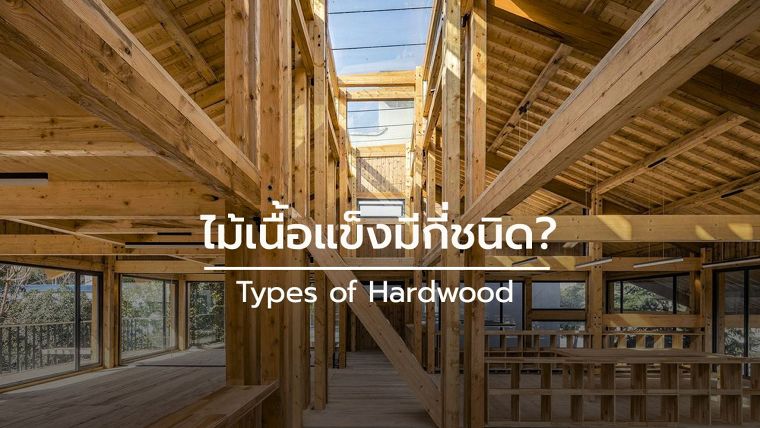 ไม้เนื้อแข็งมีกี่ชนิด? (Types of Hardwood) ภาพประกอบ