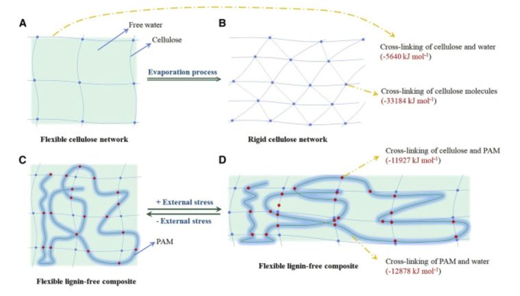 ภาพประกอบจาก

www.sciencedirect.com
