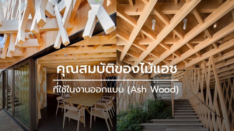 คุณสมบัติของไม้แอช (Ash Wood) ที่ใช้ในงานออกแบบ ภาพประกอบ