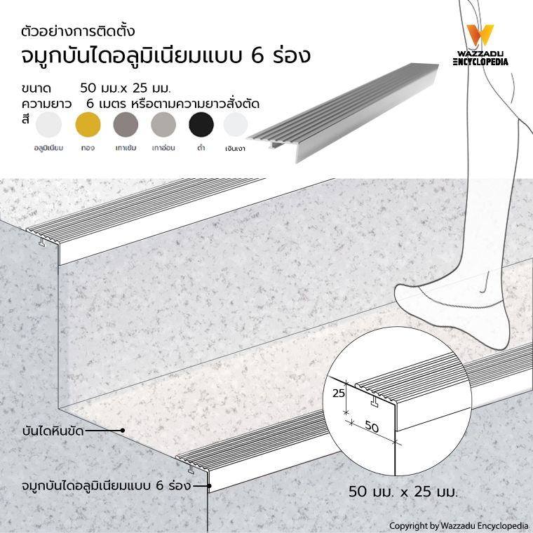 คู่มือการออกแบบและติดตั้ง จมูกบันได คิ้ว บัวมอบฝ้า และบัวเชิงผนังในงานสถาปัตยกรรม สำหรับช่างและสถาปนิก ภาพประกอบ