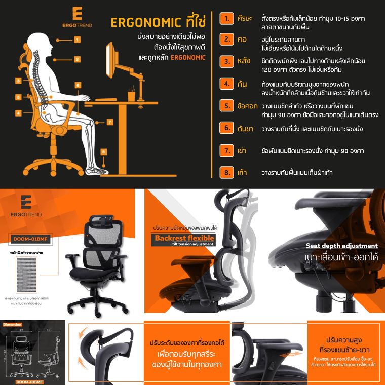 เจาะลึก ถึง Insight...ว่าทำไม หลัก ERGONOMIC ถึงสำคัญต่อการออกแบบ “เก้าอี้สำนักงาน” ?  ภาพประกอบ