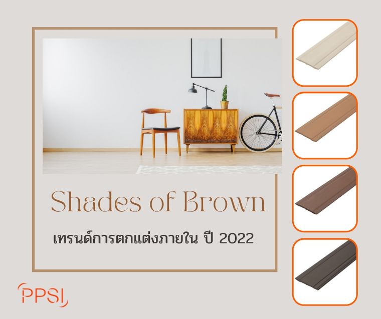 Shades of Brown เทรนด์การตกแต่งภายใน ปี 2022  ภาพประกอบ