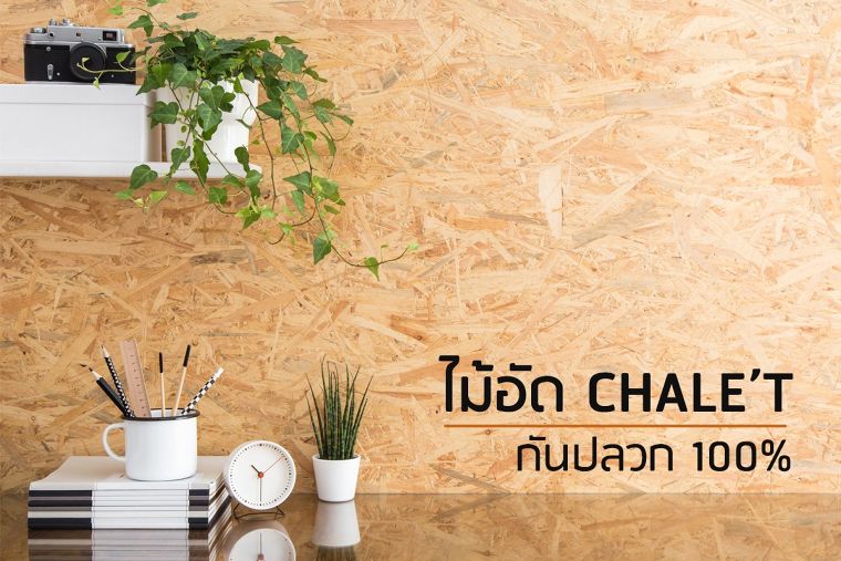 อยากได้ไม้อัดกันปลวกใช่ไหม? Chale’t จัดให้ กันปลวกได้ 100% พร้อมด้วยลายไม้จากธรรมชาติ ภาพประกอบ