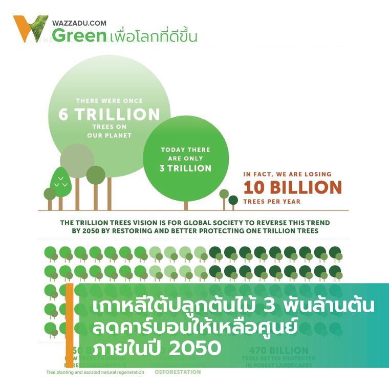 เกาหลีใต้ปลูกต้นไม้ 3 พันล้านต้น ลดคาร์บอนให้เหลือศูนย์ภายในปี 2050 ภาพประกอบ