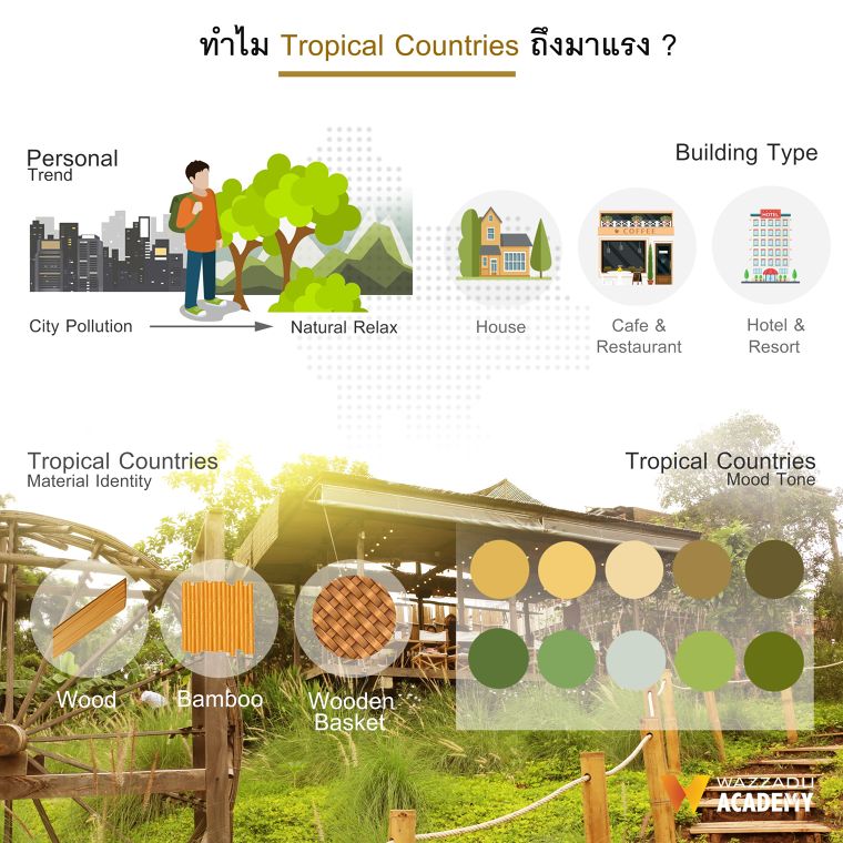 ทำไม Tropical Countries ถึงมาแรง ? ภาพประกอบ