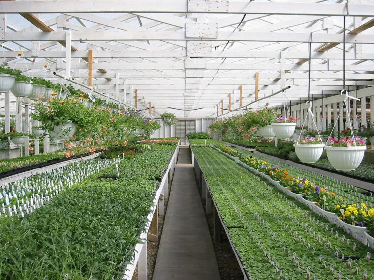 10 ไอเดียออกแบบสวน Greenhouse ที่ใช้ได้ทั้งงานเกษตรกรรมและสวนภายในบ้าน ภาพประกอบ