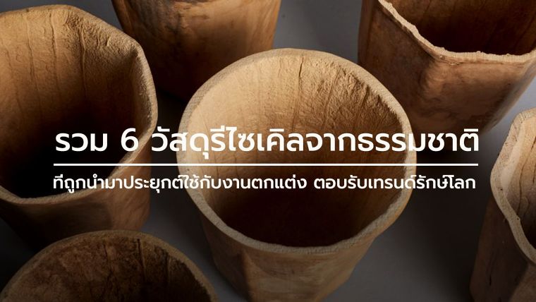 รวม 6 วัสดุรีไซเคิลจากธรรมชาติ ที่ถูกนำมาประยุกต์ใช้กับงานตกแต่ง ตอบรับเทรนด์รักษ์โลก ภาพประกอบ