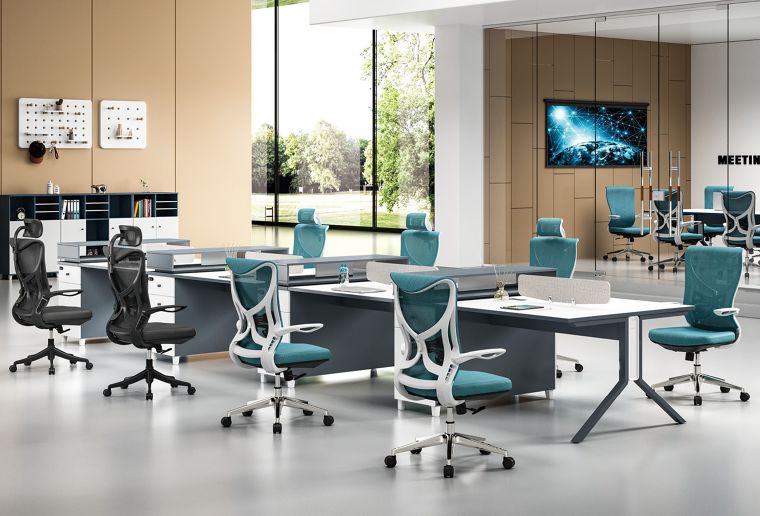 เปรียบเทียบเก้าอี้สุขภาพที่เหมาะสมที่สุด? เปิดเผยความลับของ Rudee Ergonomic Chair ภาพประกอบ