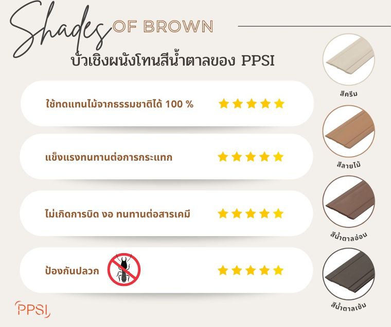 Shades of Brown เทรนด์การตกแต่งภายใน ปี 2022  ภาพประกอบ