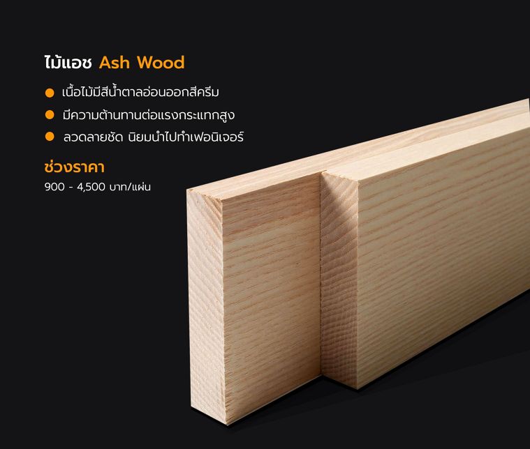 คุณสมบัติของไม้แอช (Ash Wood) ที่ใช้ในงานออกแบบ ภาพประกอบ