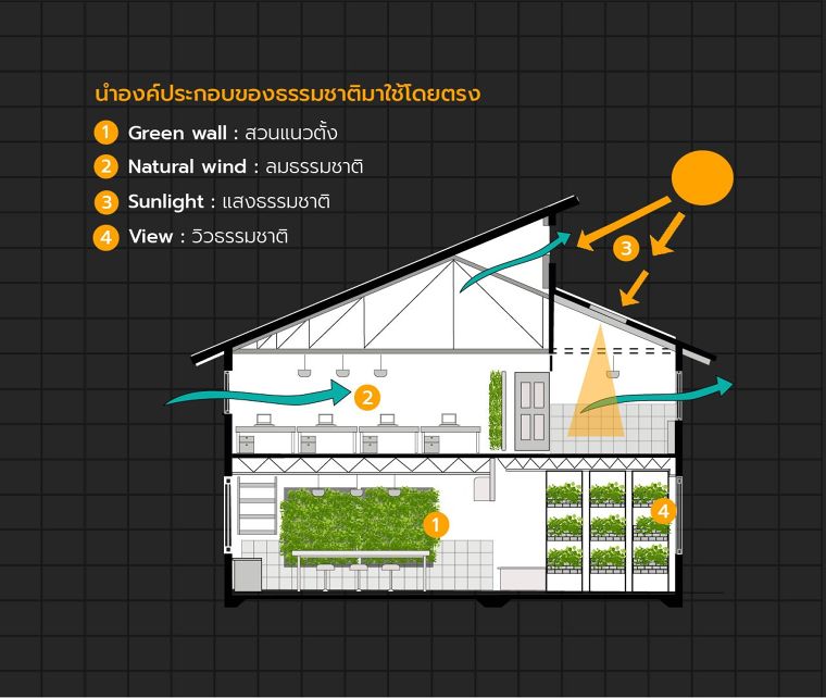 Biophilic Office Design เทรนด์การออกแบบออฟฟิศยุคใหม่ ที่เชื่อมโยงมนุษย์เข้ากับธรรมชาติ ภาพประกอบ