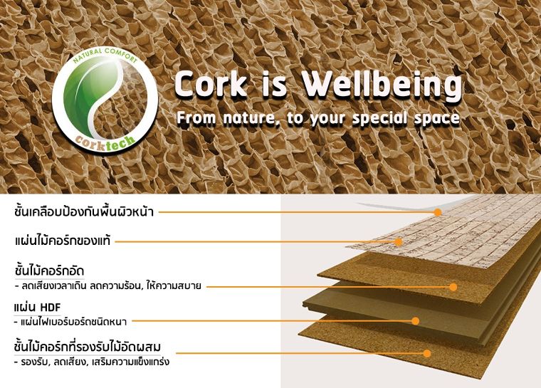 วัสดุไม้คอร์ก (Cork Wood) จาก Wicanders มีดียังไง? มาหาคำตอบกันดีกว่า! ภาพประกอบ