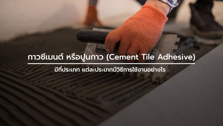 กาวซีเมนต์ หรือปูนกาว (Cement Tile Adhesive) มีกี่ประเภท แต่ละประเภทมีวิธีการใช้งานอย่างไร ภาพประกอบ