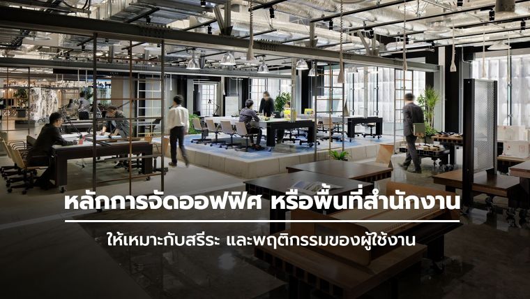 ขอบคุณภาพประกอบจาก&nbsp; archdaily. com
