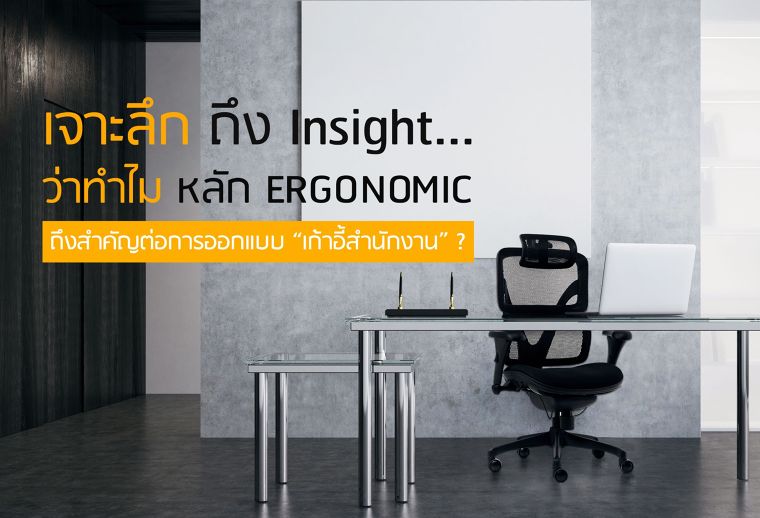 เจาะลึก ถึง Insight...ว่าทำไม หลัก ERGONOMIC ถึงสำคัญต่อการออกแบบ “เก้าอี้สำนักงาน” ?  ภาพประกอบ