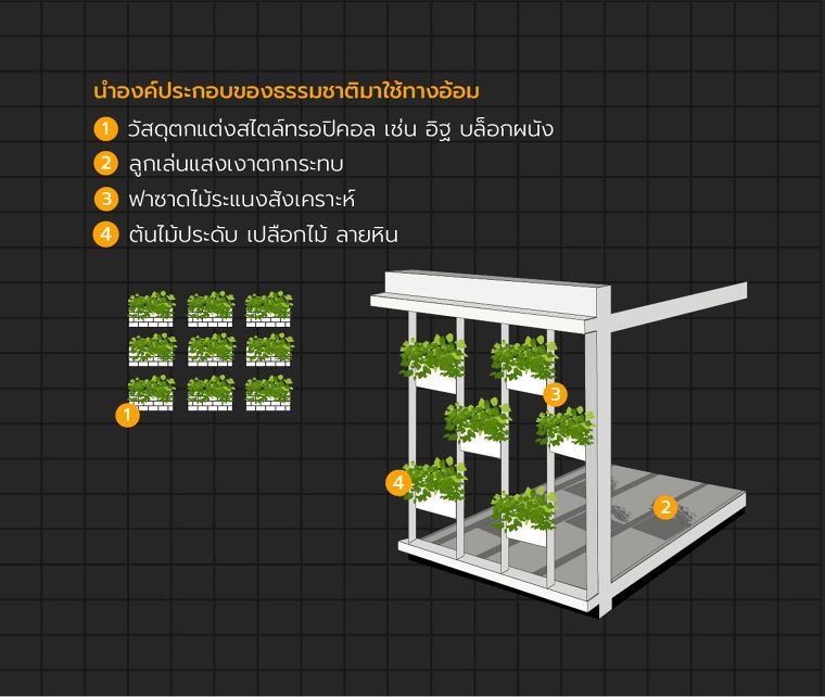 Biophilic Office Design เทรนด์การออกแบบออฟฟิศยุคใหม่ ที่เชื่อมโยงมนุษย์เข้ากับธรรมชาติ ภาพประกอบ