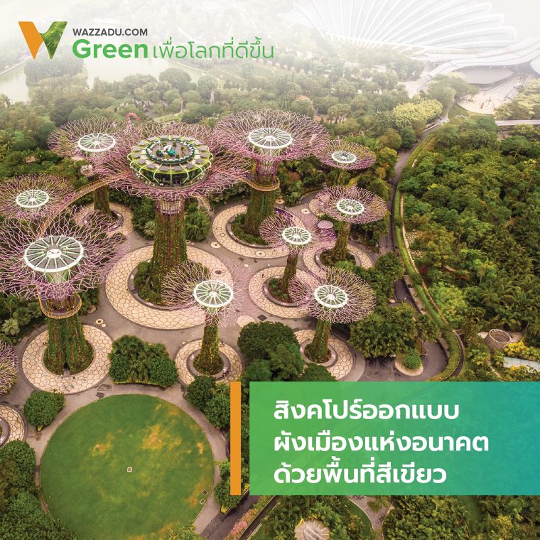 สิงคโปร์ออกแบบผังเมืองแห่งอนาคตด้วยพื้นที่สีเขียว ภาพประกอบ