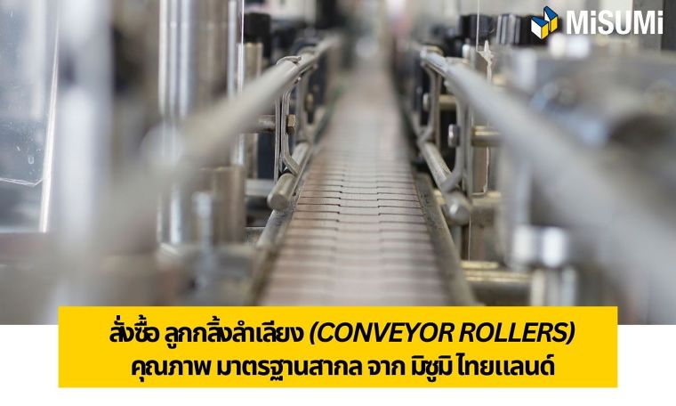 ลูกกลิ้งลำเลียง (Conveyor Rollers) คืออะไร สำคัญกับงานขนย้ายอย่าง ภาพประกอบ