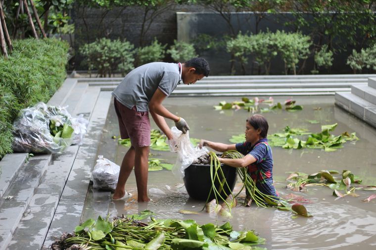 Modern Garden X Design ภาพประกอบ