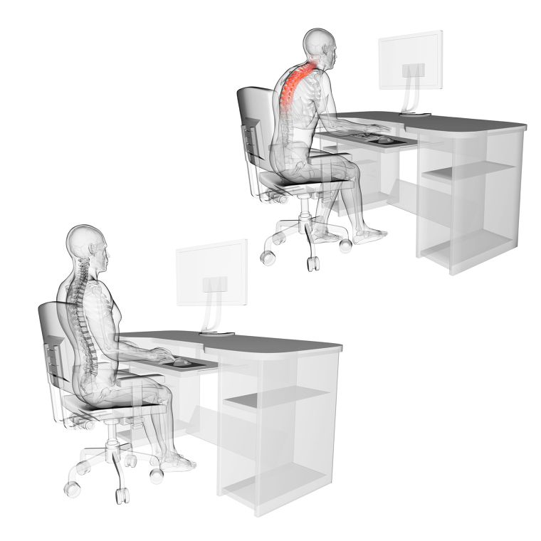 เจาะลึก ถึง Insight...ว่าทำไม หลัก ERGONOMIC ถึงสำคัญต่อการออกแบบ “เก้าอี้สำนักงาน” ?  ภาพประกอบ