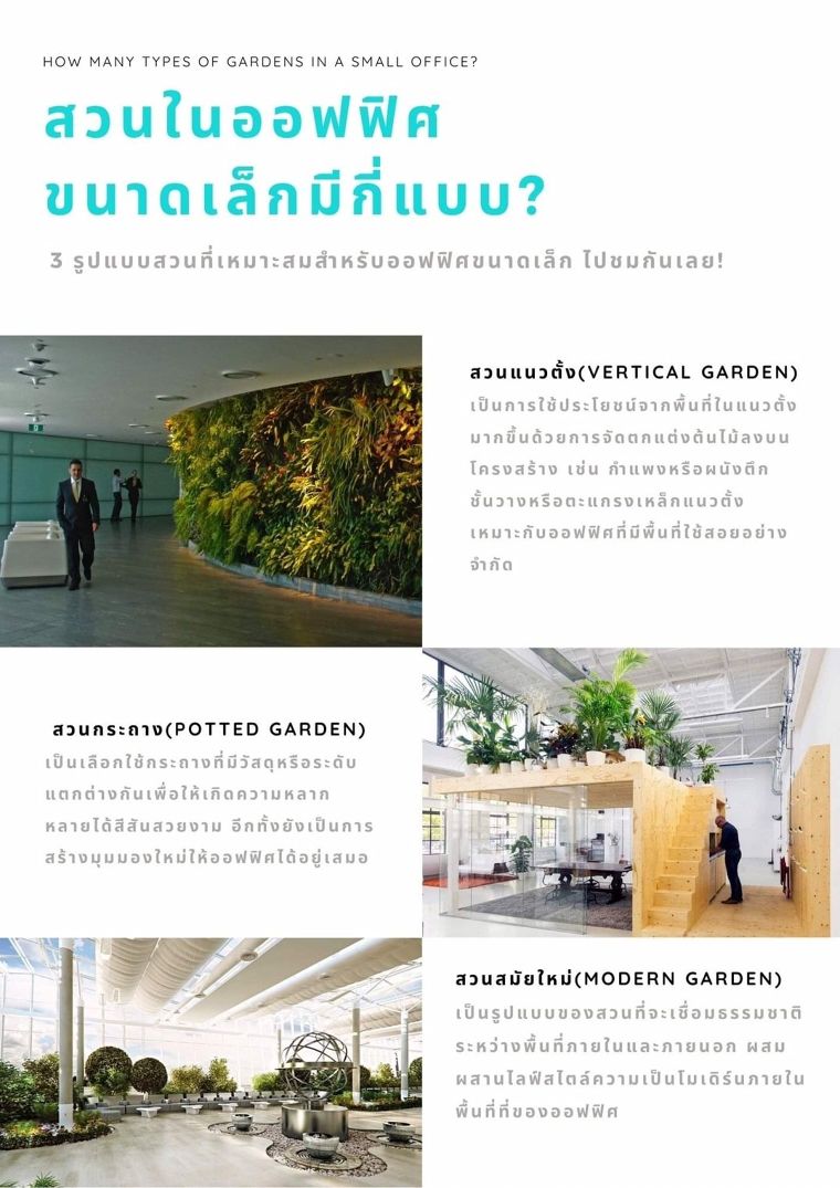 HOW MANY TYPES OF GARDENS IN A SMALL OFFICE? ภาพประกอบ