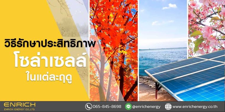 วิธีรักษาประสิทธิภาพโซล่าเซลล์ในแต่ละฤดู ภาพประกอบ