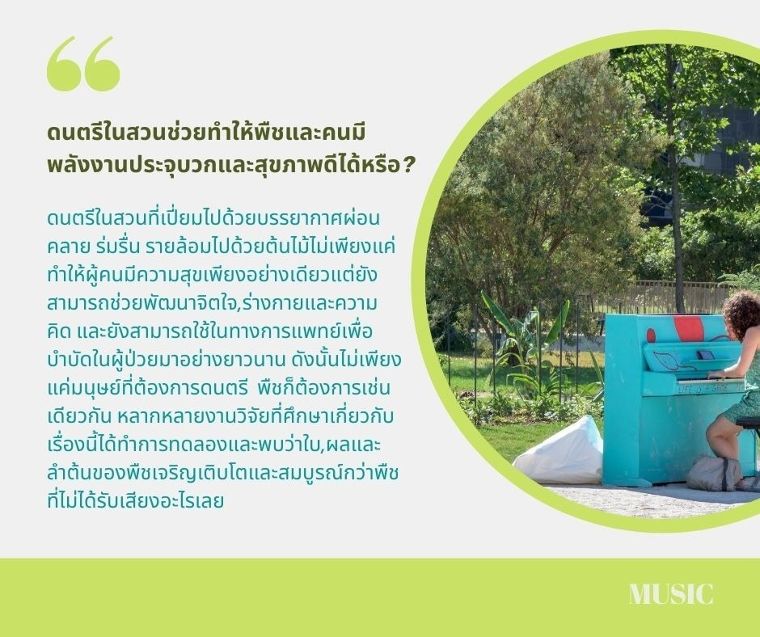 ดนตรีในสวนช่วยทำให้พืชและคนมีพลังงานประจุบวกและสุขภาพดีได้หรือ? ภาพประกอบ