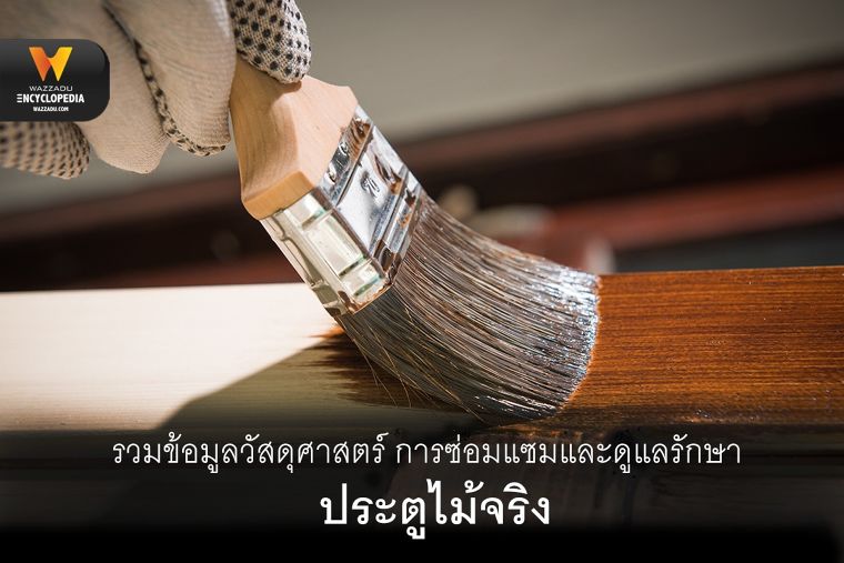 รวมข้อมูลวัสดุศาสตร์ การซ่อมแซมและดูแลรักษาประตูไม้จริง (Wooden Door) ภาพประกอบ