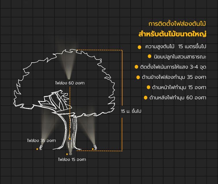 หลักการออกแบบจัดวางตำแหน่งไฟส่องต้นไม้ และไฟทางเดินสำหรับงานจัดแสงภูมิทัศน์ ภาพประกอบ