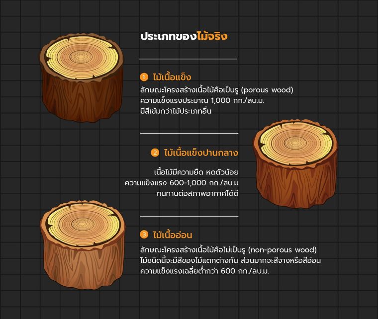 การแบ่งระดับความแข็งของเนื้อไม้ และลักษณะของวงปีไม้ (Wood Hardness Level & Annual ring)  ภาพประกอบ