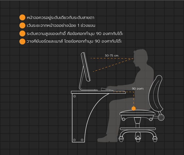 Working Space Ergonomic design ออกแบบพื้นที่การทำงานตามหลัก "การยศาสตร์" ภาพประกอบ