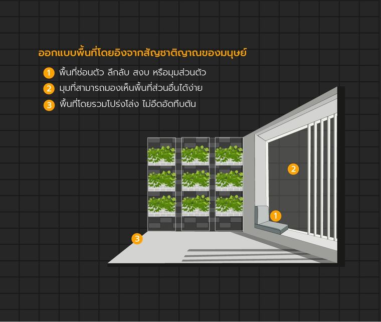 Biophilic Office Design เทรนด์การออกแบบออฟฟิศยุคใหม่ ที่เชื่อมโยงมนุษย์เข้ากับธรรมชาติ ภาพประกอบ