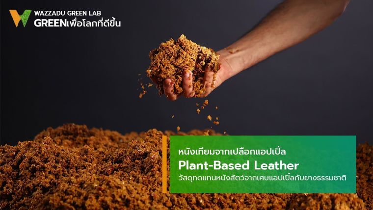 หนังเทียมจากเปลือกแอปเปิ้ล  Plant-Based Leather วัสดุทดแทนหนังสัตว์จากเศษแอปเปิ้ลกับยางธรรมชาติ ภาพประกอบ