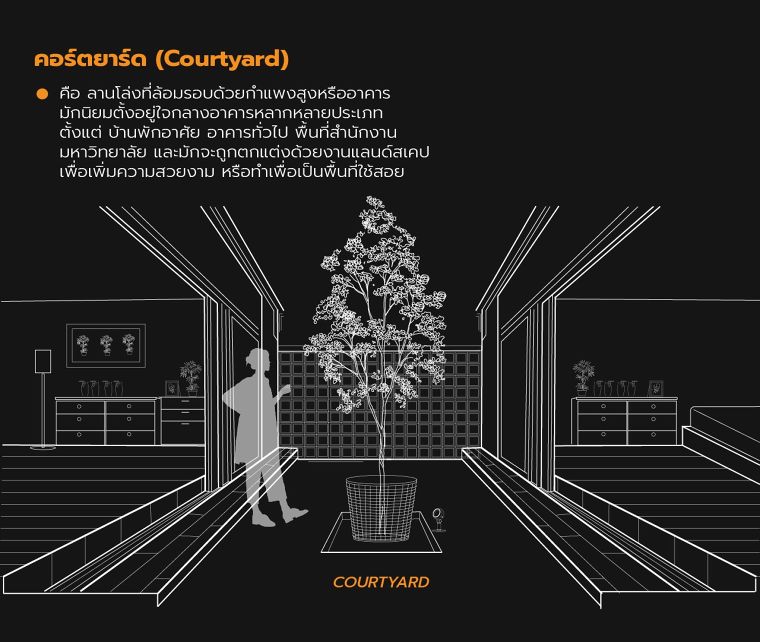 คอร์ตยาร์ด (Courtyard)
