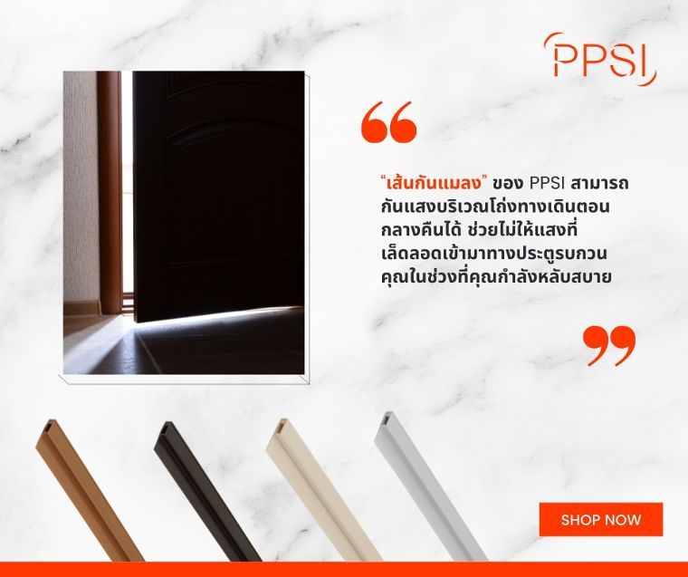 3 เหตุผลหลักที่ควรใช้ “เส้นกันแมลง” ของ PPSI  ในคอนโด ภาพประกอบ